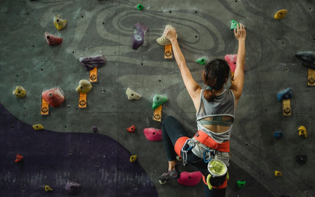 Owning a perfect climbing gym